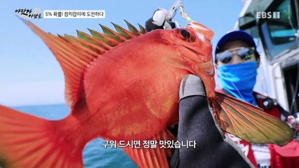 바닷가 사람들 - 5%의 확률! 참치잡이에 도전하다 1부_#002