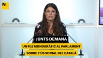 Junts demana un ple monogràfic al Parlament sobre l'ús social del català