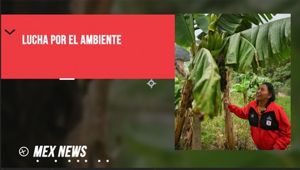 INDÍGENA COLOMBIANA LUCHA POR EL MEDIO AMBIENTE