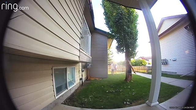 Kids Doorbell Ditching Don't Know How Video Doorbells Work