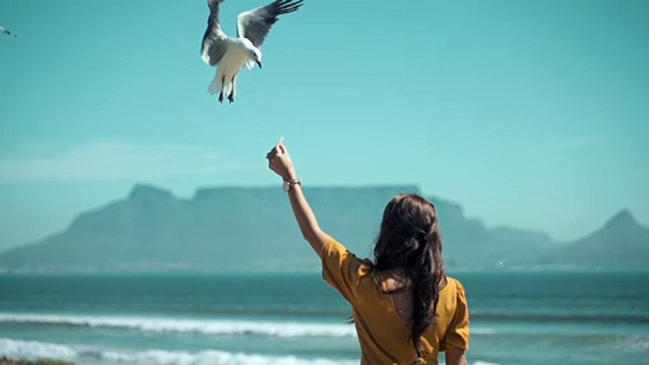 birds
