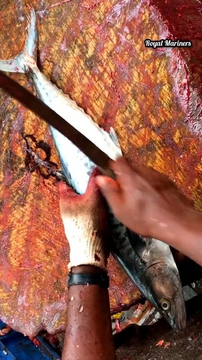 Amazing Fish Cutting within 60sec - short_Royal Mariners ( 1080 X 608 )