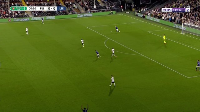 Fulham v Leeds United