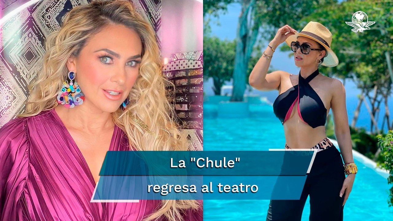 Aracely Arámbula apuesta por Estados Unidos