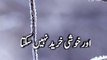 Shayari status  whatsapp status  sad urdu poetry urdu shayari  status insan dono malomat ma ba