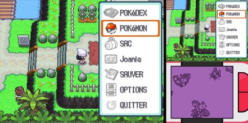Pokémon Pt: Max% [47] Hobby Négatif