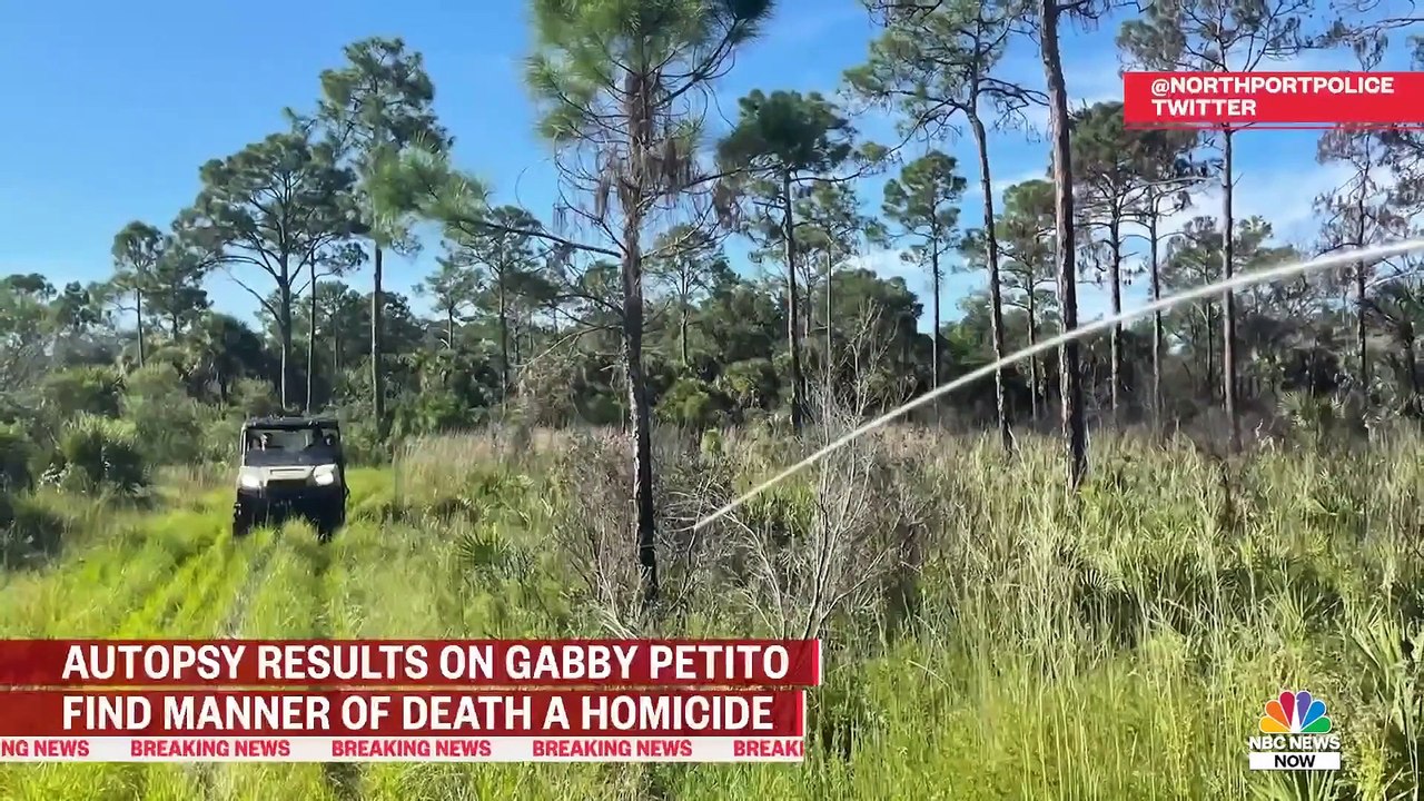Gabby Petito Remains Confirmed, Initial Autopsy Reveals Death A Homicide