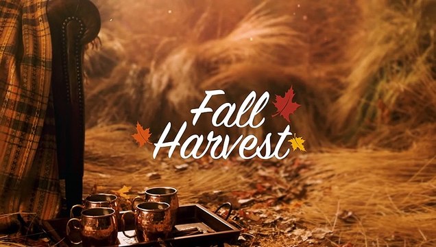 Love Strikes Twice Movie - Katie Findlay, Wyatt Nash, Marshall Williams