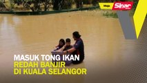 Masuk tong ikan redah banjir di Kuala Selangor