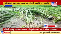 Farmers face huge crop loss due to incessant rainfall in Panchmahal _ TV9News