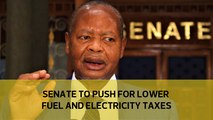 Senate to push for lower fuel and electricity taxes