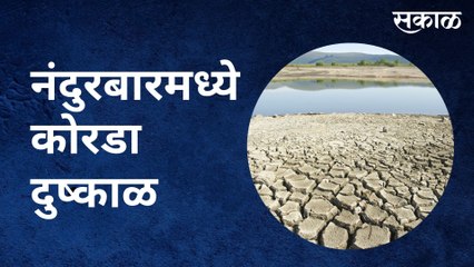 Nandurbar : राज्यात ओला दुष्काळ तर नंदुरबारमध्ये कोरडा दुष्काळ | Sakal Media |