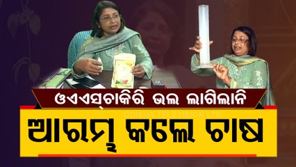 Balasore Woman Leaves Civil Service Job, Earns Lakhs Through Stevia Cultivation