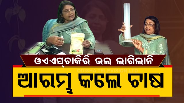 Balasore Woman Leaves Civil Service Job, Earns Lakhs Through Stevia Cultivation