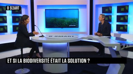 SMART IMPACT - Emission du mercredi 22 septembre