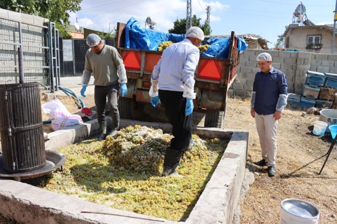 Kilis'in organik üzüm pekmezi için kazanlar kaynıyor