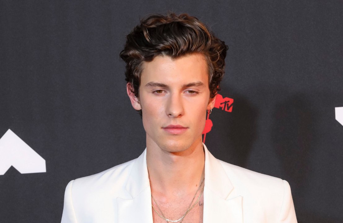 Shawn Mendes misstraut Taylor Swifts Freund Joe Alwyn