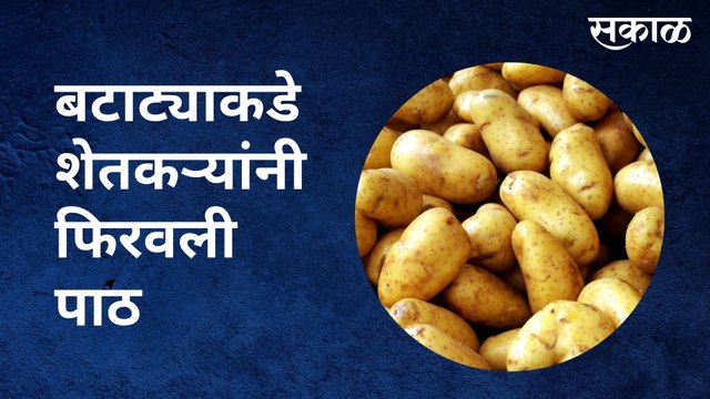 Ambegaon : बटाट्याकडे शेतकऱ्यांनी फिरवली पाठ | Sakal Media |