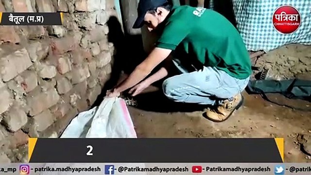 घर में घुसा 10 फीट का अजगर