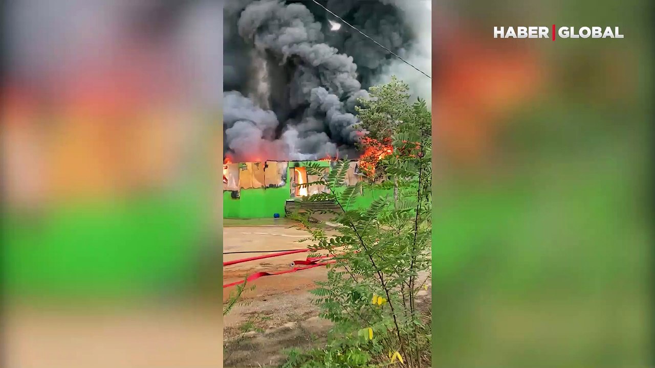 Şile'de fabrika yangını! Çok sayıda ekip müdahale ediyor