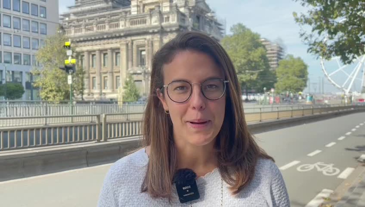 Parquet de Bruxelles concernant l'homme qui a attaqué la police à Molenbeek