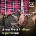 Watch How J&K Police Busted The Terror Module Of Jammu-Kashmir Ghaznavi Force