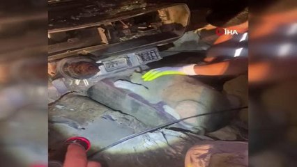 Vites başlığına başı sıkışan köpeği itfaiye kurtardı