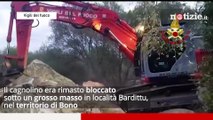 Sassari, cane bloccato sotto un grosso masso: l'incredibile salvataggio dei Vigili del fuoco