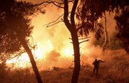 Devastadores incendios forestales en el hemisferio norte generaron récord de emisiones est