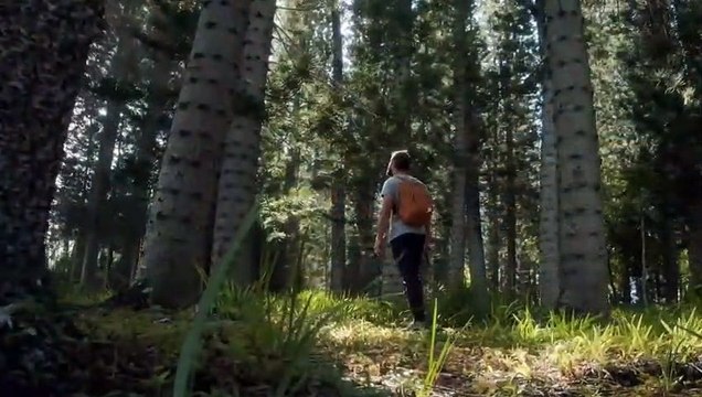 Best Positive Affirmations to Motivate Yourself Inspirational Quotes