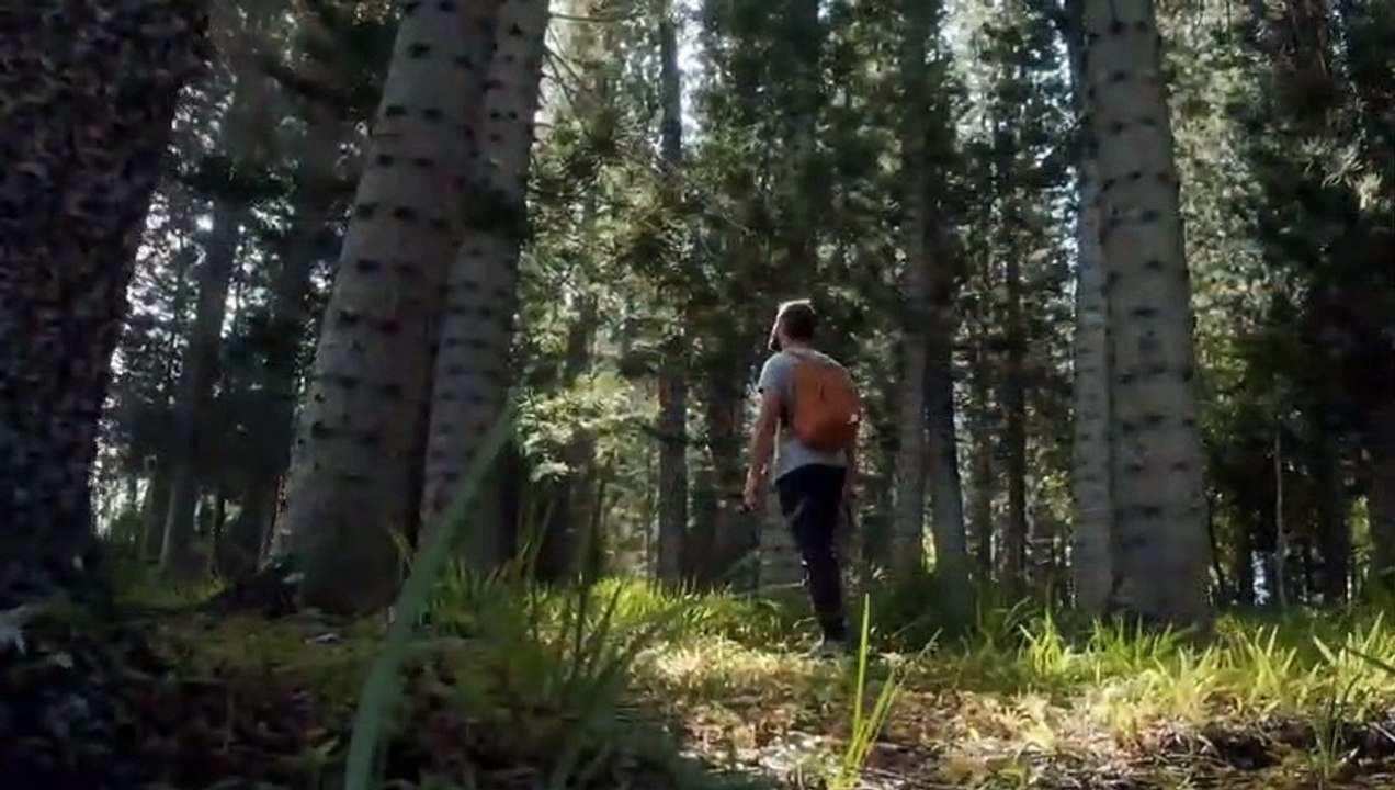 Best Positive Affirmations to Motivate Yourself Inspirational Quotes