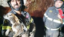 Bono (SS) - Salvato cane bloccato sotto un grosso masso in zona Bardittu (22.09.21)