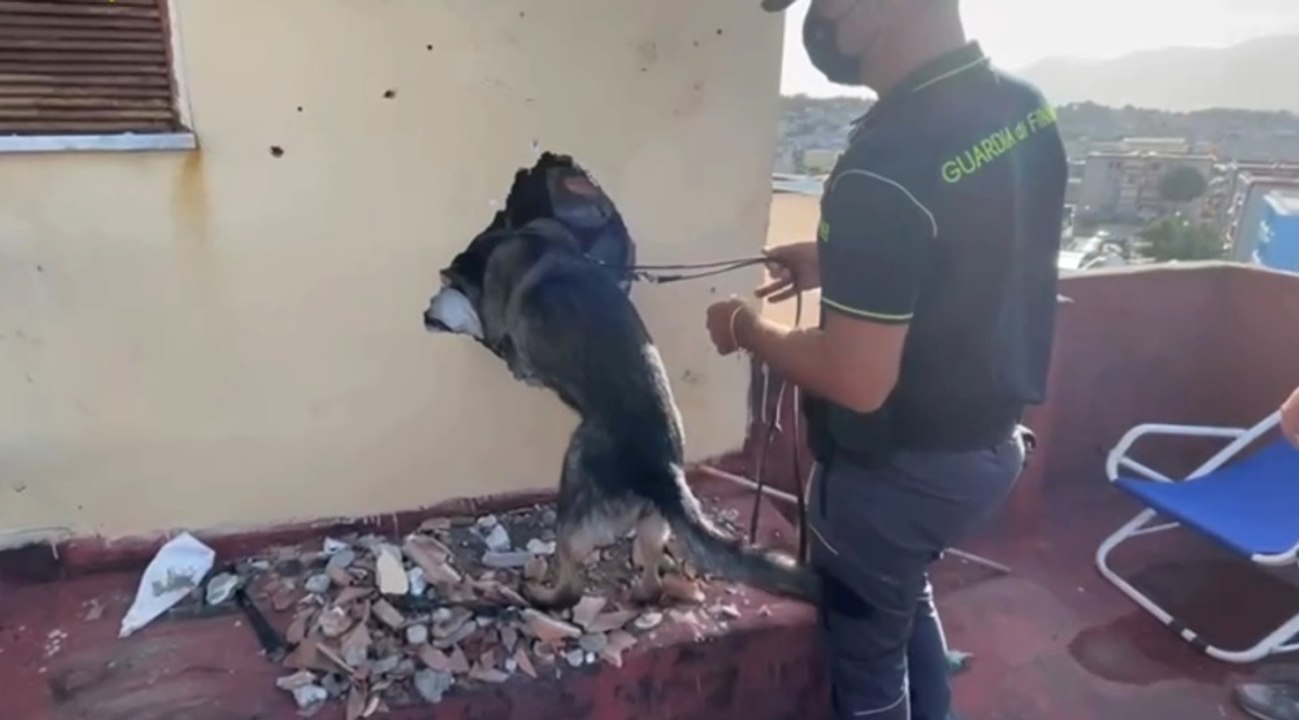 Torre Annunziata (NA) - Controlli a tappeto: sequestri e denunce per armi e droga (22.09.21)