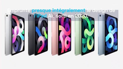 iPad Mini : un petit format seul au monde