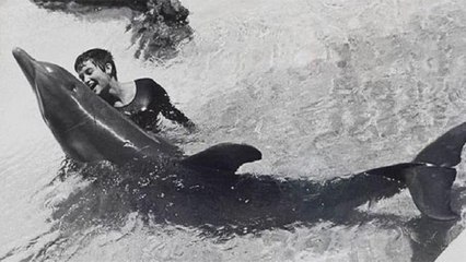 Ajab Gajab: इस महिला ने Dolphin के साथ बनाएं शारीरिक संबंध उसके बाद जो हुआ वो..| Boldsky