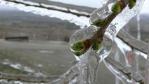Meteoroloji'den çiftçilere kritik uyarı: Kayseri, Sivas, Kırşehir ve Yozgat'ta don bekleniyor