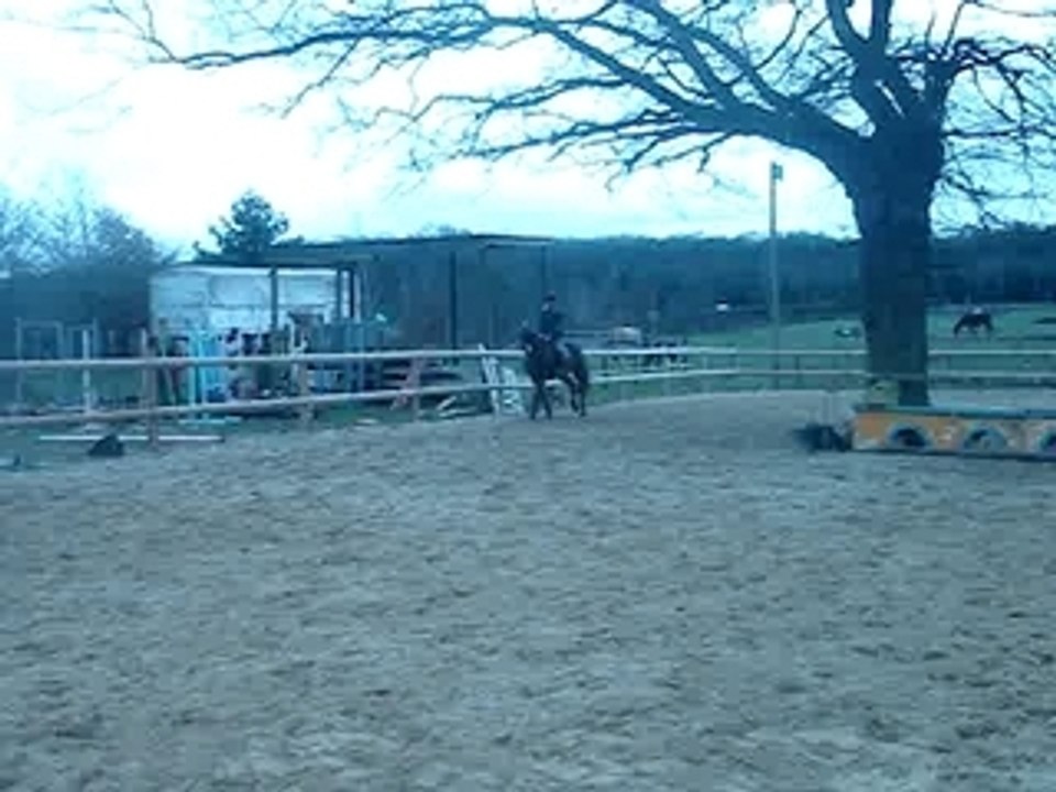 Diva