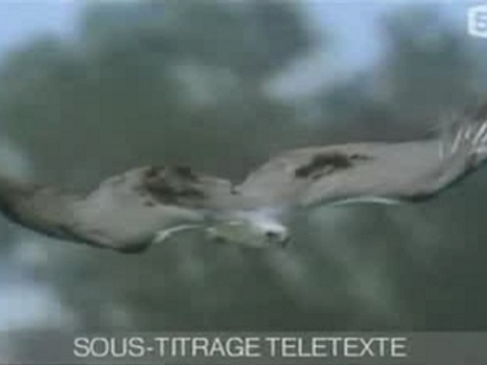 évolutionnisme vs créationnisme 1/3