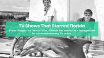 TV Shows That Starred Florida