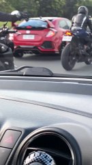 People Work to Save Panicked Pup