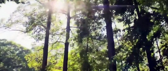 Black Widow  | Best Scenes - Pro