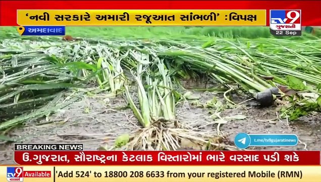 Govt finally listened to us_ LoP Dhanani on decision to increase relief aid for flood hit areas _