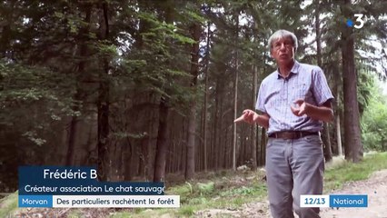 Dans le Morvan, des particuliers rachètent la forêt