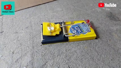 Trampa para ratones - un pequeño travieso ratón - míralo como cae