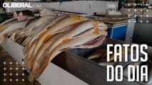Preço do peixe caiu em 21 das 29 espécies pesquisas em feiras de Belém, aponta Dieese