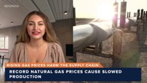 Rising Gas Prices Harm The Supply Chain