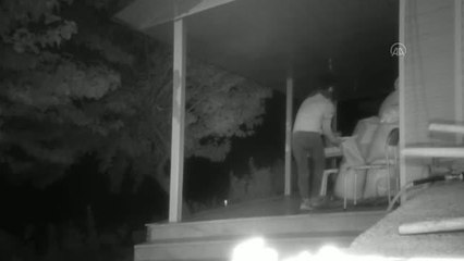 300 kilogram kızılçam tohumu çalan 4 zanlı tutuklandı