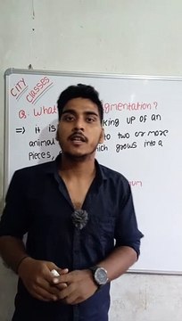 Fragmentation | Fragmentation in Hindi | Fragmentation biology | what is fragmentation #cityclasses