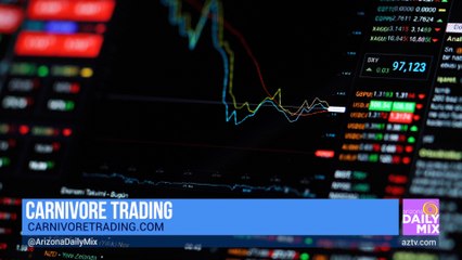 Learn How to Execute High Quality Trades with Carnivore Trading
