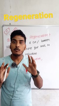 Regeneration | Regeneration in Hindi | Regeneration biology | what is Regeneration #cityclasses